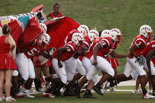 华体会app客服-青少年体育活动参与模式及影响因素分析,《青少年体育活动促进计划》