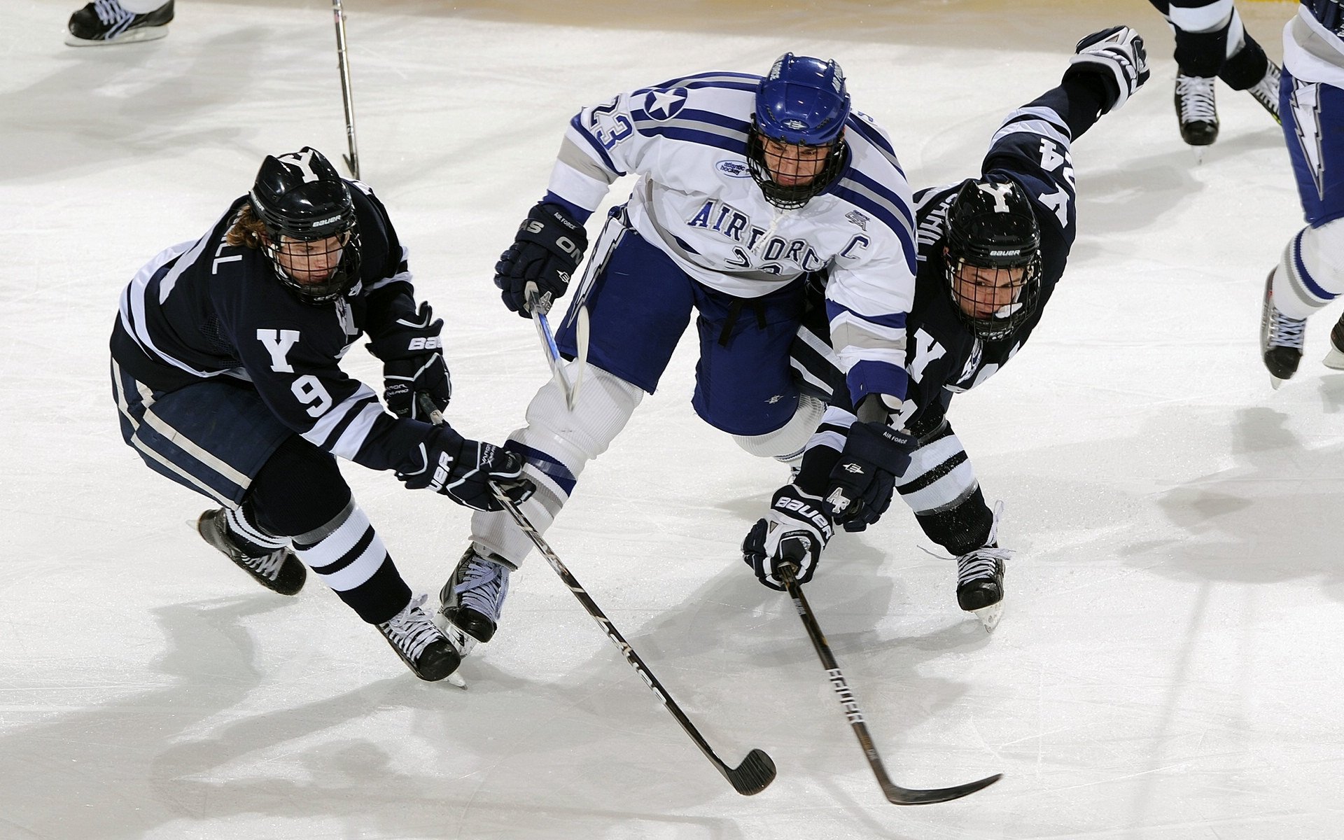 华体会app下载-兴隆湖滨赛事周圆满收官，市民点赞不断，兴隆湖宣传视频