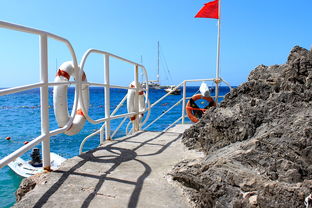 华体会登陆-海湾者未来青训体系逐渐完善，海湾技术